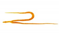JACKALL BinBin Worm Necktie Twin Tail #F056 Shrimp Orange