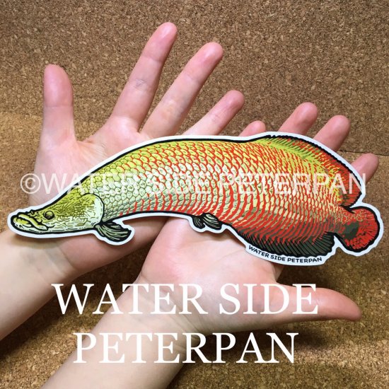 WATER SIDE PETERPAN Big Piraruku Sticker Accessories & Tools buy at