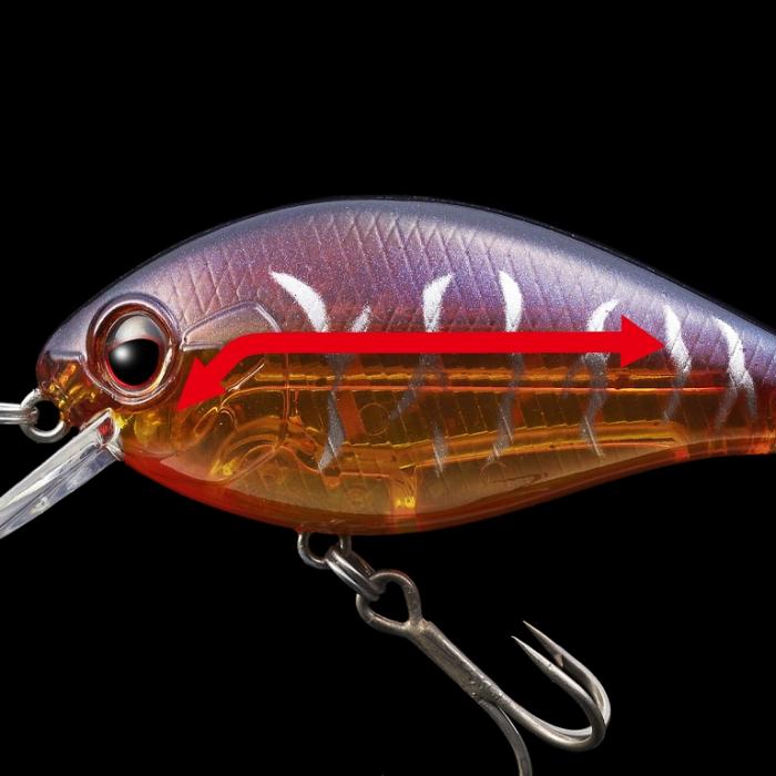 EVERGREEN Combat Crank Shallow Hawg # 65 Black Back Chart Lures buy at