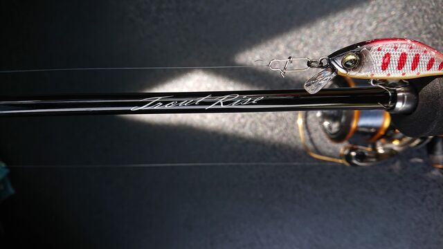 SHIMANO 19 Trout Rise S60UL Rods buy at