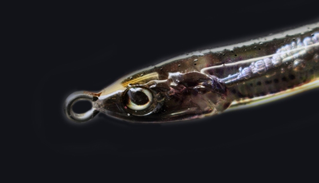 LITTLE JACK Ultra Light Fishing Lure AMEZIAKU JP 45mm/1.7g