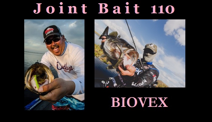 Biovex-Joint-Bait-110-SF-Swimbait-77-Blue-Gill.jpg