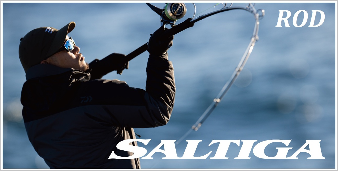 DAIWA Saltiga SJ 61B-2・W Rods buy at