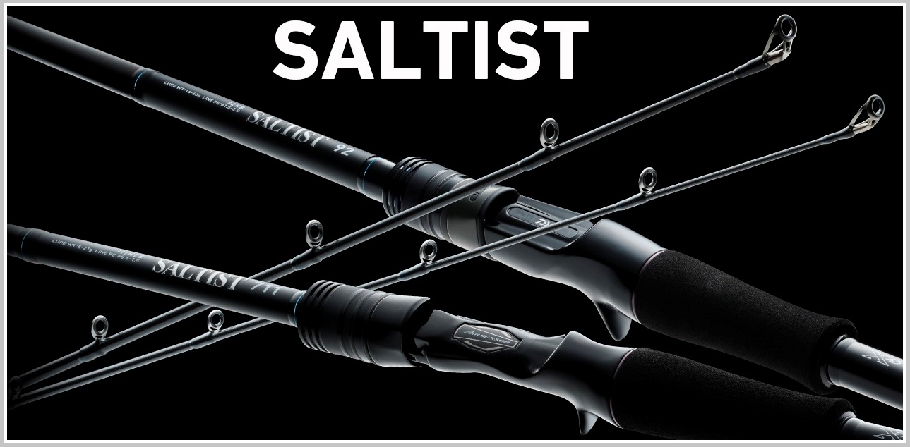 DAIWA Saltist 711MLB