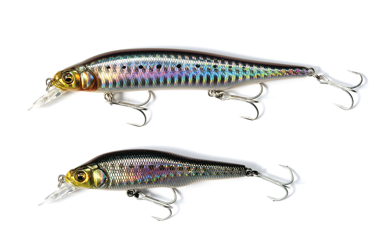 MEGABASS X-80 Magnum #GG Hirame Lime Gold Lures buy at Fishingshop