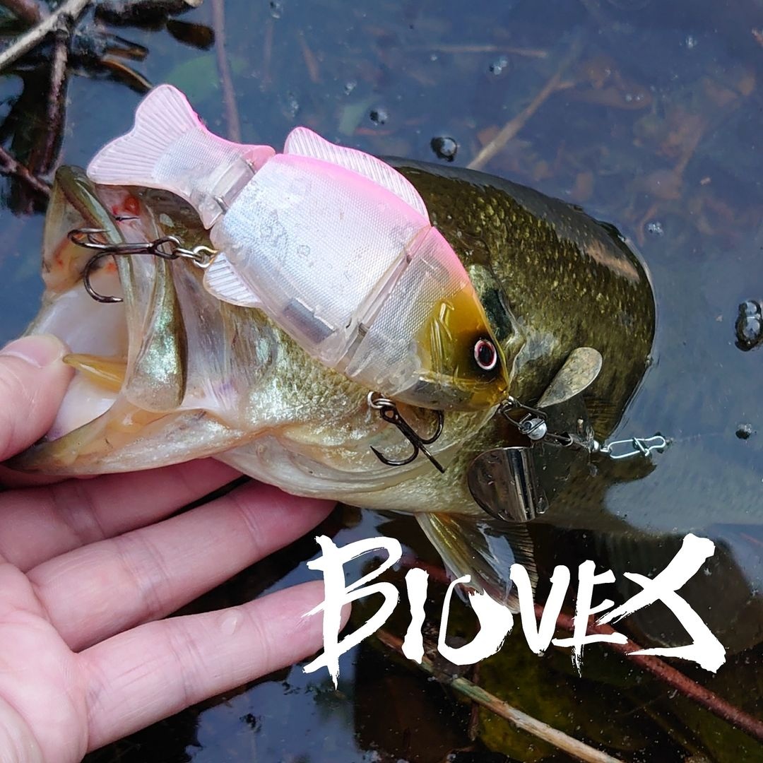 BIOVEX Joint Gill 116SS # 65 Chart Back Ghost Pearl Gill Lures buy