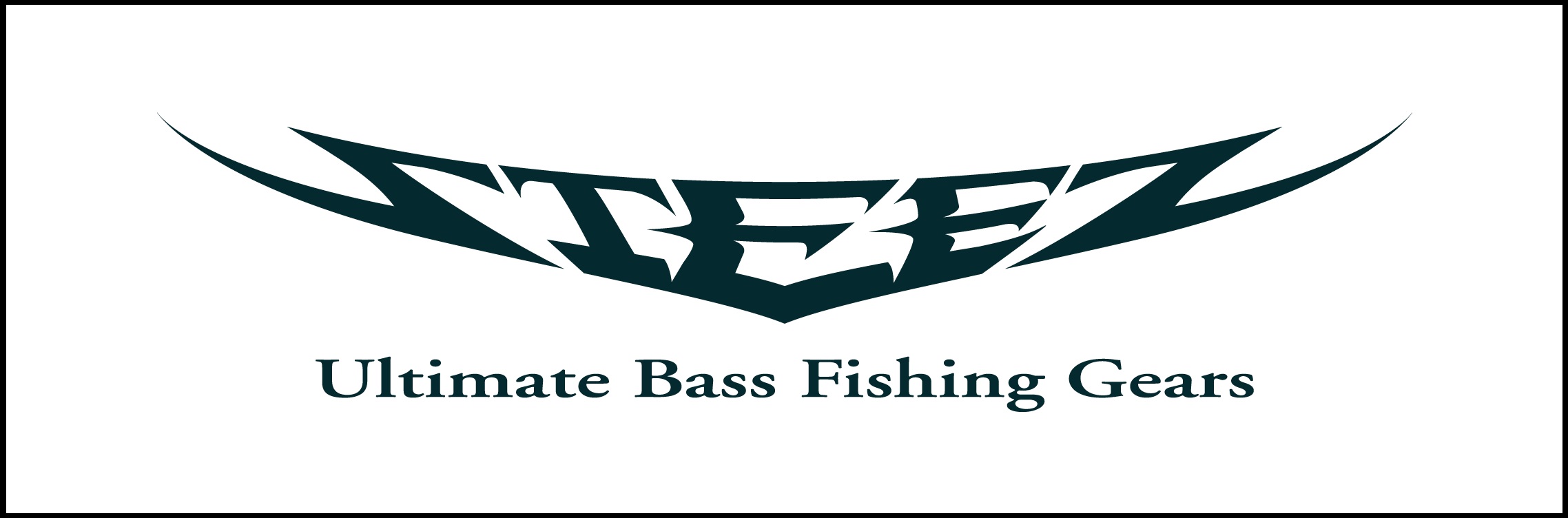 DAIWA 2024 Steez (Baitcasting model) SC C66M/ML-SV・ST