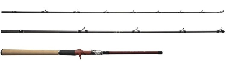 FISHMAN Beams Riplout 9.0M+