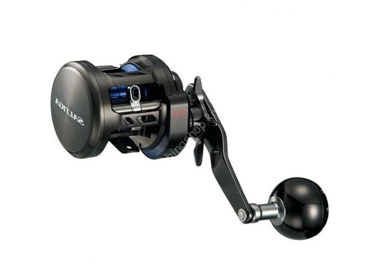 DAIWA Saltiga BJ 100SHL