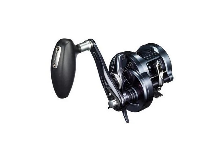 SHIMANO 19 Ocea Conquest Limited 300HG Reels buy at Fishingshop.kiwi