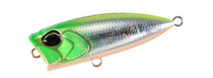 DUO Tetra Works Pocopoco 40F CPA0601 Lime Head Chart OB