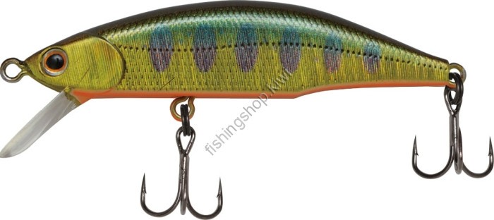 JACKSON Meteora 52 SKY GOLD YAMAME (SALMON TROUT)