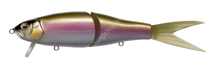 FISH ARROW Riser Jack JR #17 Rainbow