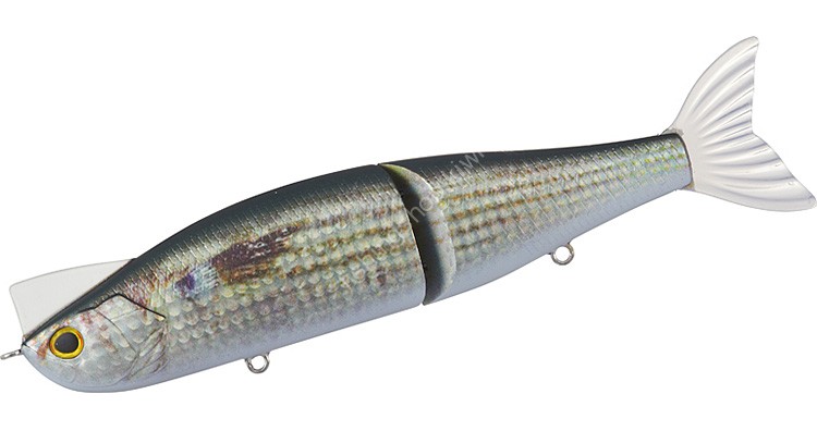 DAIWA Morethan Lazy Fashad J156F #Real Inakko