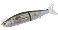 DAIWA Morethan Lazy Fashad J156F #Real Inakko