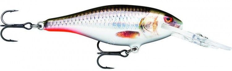 RAPALA Shad Rap 7 cm SR7-ROHL