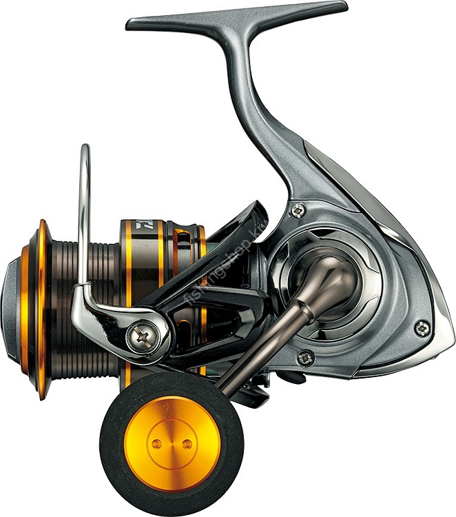 DAIWA Sea Paradise