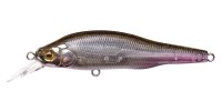 MEGABASS X-80 Trick Darter #FA Ghost Wakasagi