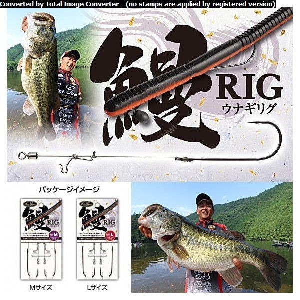EVERGREEN Eel RIG M (2pcs)