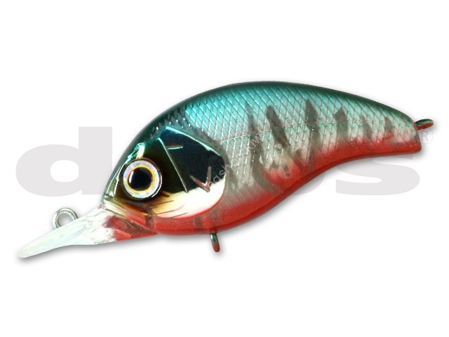 DEPS Korrigan-MR #29 Dead Oikawa