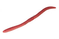 JACKALL Flick Shake 3.8 Earthworm