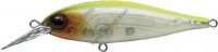 EVERGREEN Bank Shad # 59 Skeleton Chart