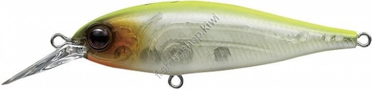 EVERGREEN Bank Shad # 59 Skeleton Chart