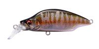 MEGABASS GH52 Bat A Fry 52FS 8.5g #LZ Autumn Halation
