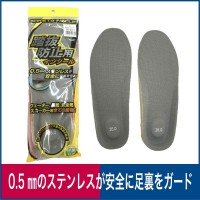 HANSHIN F-10 Route Insole 28