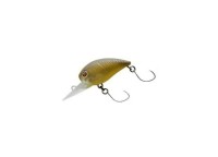 DAIWA Presso Wabkura 30MR #Olive Glow