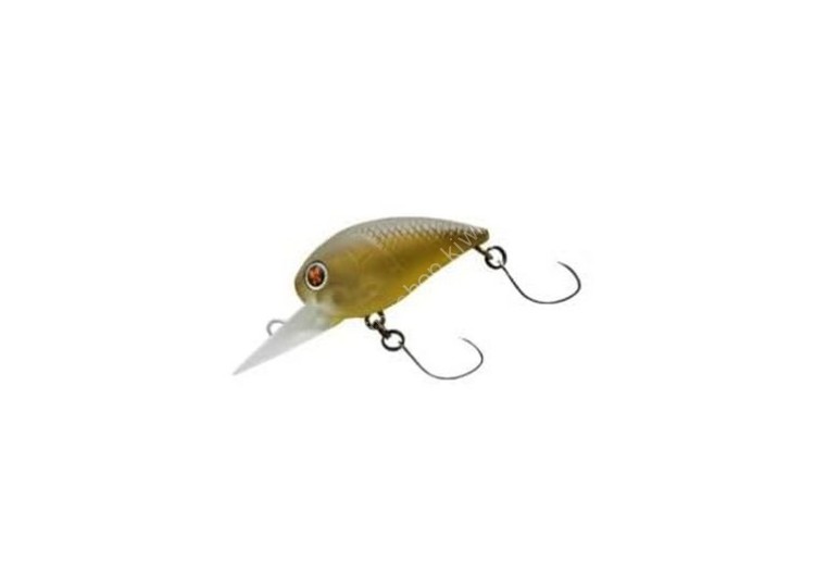 DAIWA Presso Wabkura 30MR #Olive Glow