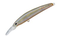 SMITH DD Panish Area 65F #02 Ilpere RP