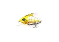 WATERLAND Skeleton Crank #Gold/Silver