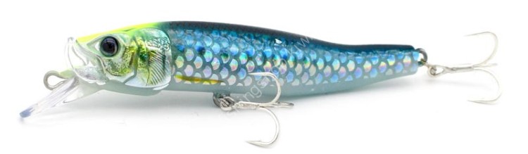 LITTLE JACK  Forma Gloss-90 #06 Glow Scale Iwashi