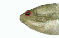 ISSEI Gill Flat #57 Weed Shad