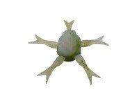 JACKALL Jimmy Henge 42mm #Sight Marble Glass