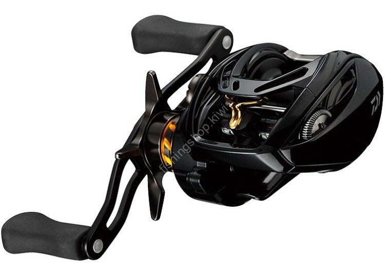 DAIWA Morethan PE 1000SH-TW