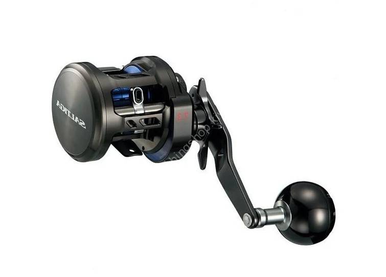 DAIWA Saltiga BJ 200HL Reels buy at Fishingshop.kiwi