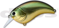 DEPS Evoke 1.2 #12 Golden Shiner