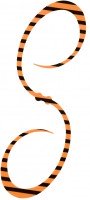 SHIMANO ED-X04U Engetsu Response Curly #010 Zebra Orange