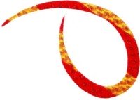 START KN-28 Silicone Necktie Curly #28 ShimaEbi Red SK