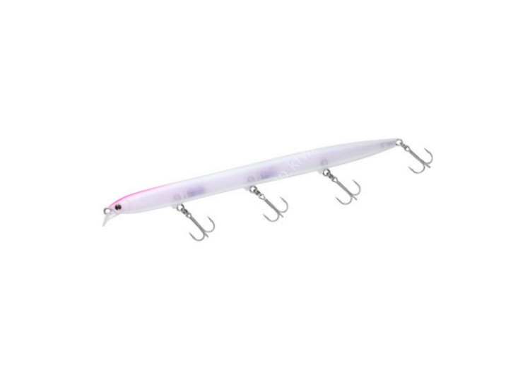 DAIWA Morethan Hisoka 150F-SSR #Konuma Special