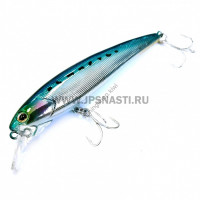 NORIES Oyster Minnow 92 S-60