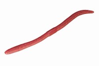 JACKALL Flick Shake 5.8 in Mimizu