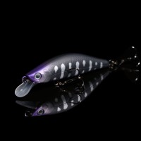 TIEMCO Morph 50SS 3.1g #006 Mat Black Yamame Silver Parr Mark