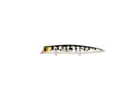 IMA Komomo SF-125 #413 Coach Dog Clear