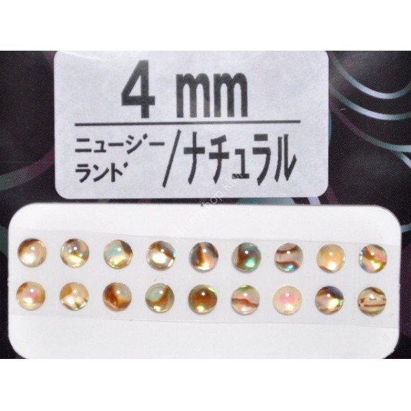 AWABI HONPO Abalone Eyeball New Zealand 4mm Natural