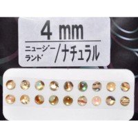 AWABI HONPO Abalone Eyeball New Zealand 4mm Natural