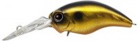 EVERGREEN Wildhunch #211 Golden Shiner