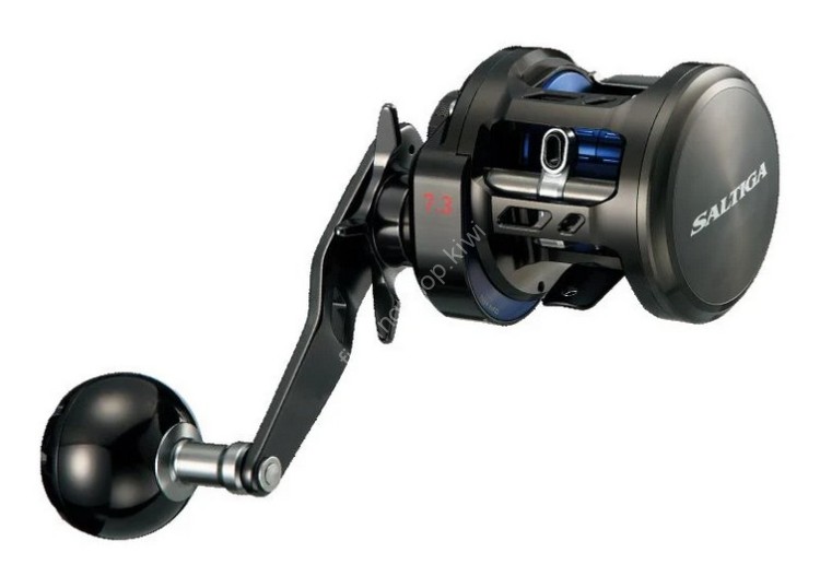 DAIWA Saltiga BJ 200SH